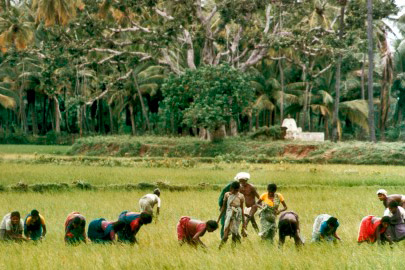 " Energy - Increasing farmers' productivity "